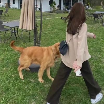 普通男女